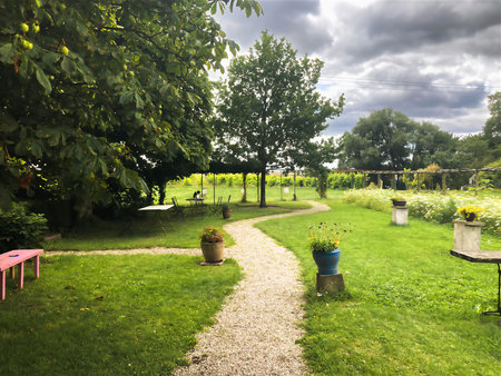 Path in the garden with green grass and flowers in the foreground.の写真素材