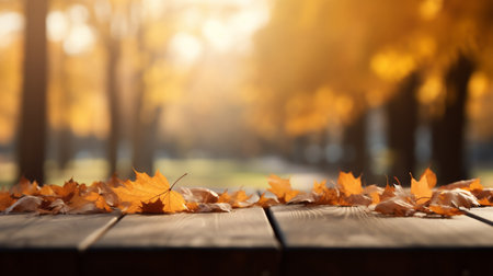 Autumn leaves on wooden table in park. Fall season background.の素材