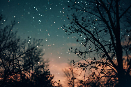 abstract background of tree branches and sky with stars. filtered imageの素材