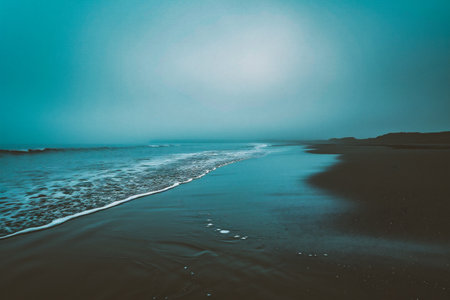 Beautiful seascape with ocean waves on the sandy beach.の素材