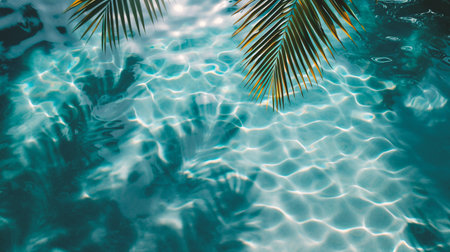 Tropical palm leaves on the background of turquoise waterの素材