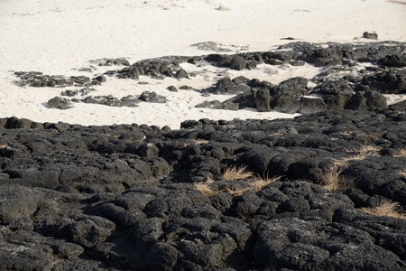 black basaltic seaside in Jeju Islandの写真素材