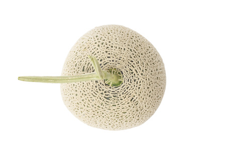 closeup of fresh melon, isolated on whiteの写真素材