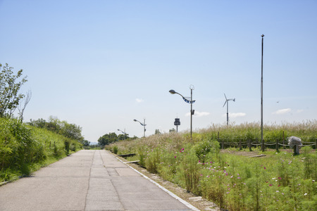straight path in a silver grass field with blue sky