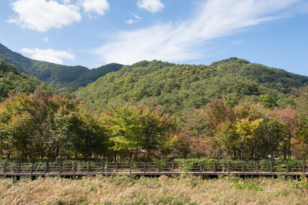 wooden deck path with mountain background in fallの写真素材