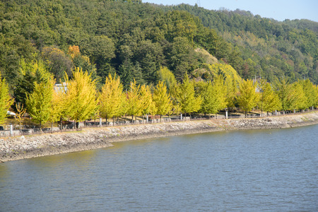 Riverside of Nakdong-gang in Andong city, Korea.の写真素材