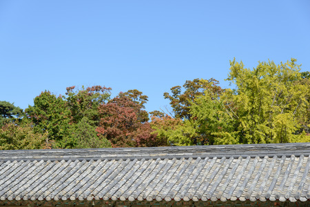 tiled roof and trees with clear sky in autumn