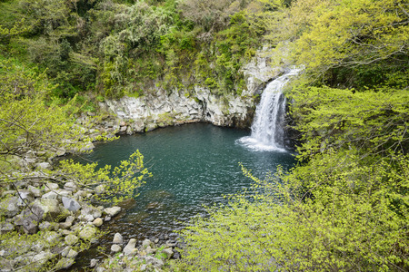 Cheonjeyeon No. 3 cascade. Cheonjeyoen falls (means the pond of God) consists of 3 falls. A variety of plant life, inclued Psilotum nudun, thrives around the falls. in first cascade, It is one of the most famous cascade in Jeju Island, in Korea.の写真素材