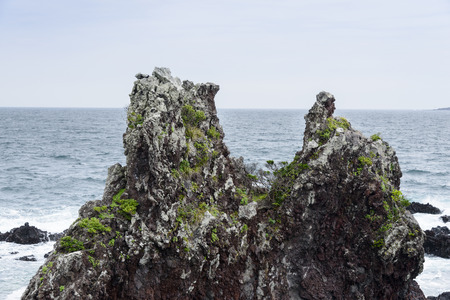 Volcanic rocks  near the Olle course No.6 in Jeju Island, Korea.の写真素材