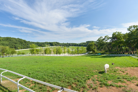 Goyang-si, Korea - July 16, 2015: Wondang horse ranch of Korea Racing Authority(KRA). In the past the ranch has been a stud farm. And it is used as a information park today.のeditorial素材