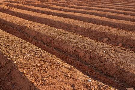 ploughed brown fertile farmland in a springの写真素材