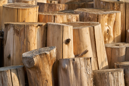 Well-organized cutted logs piled at outdoorの写真素材