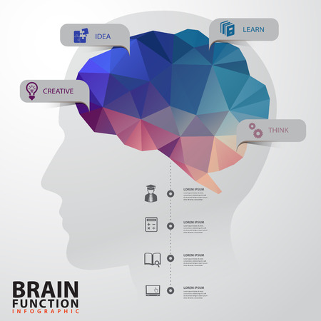 Vector Brain with Human Head infographics Design Conceptual Polygon Styleのイラスト素材