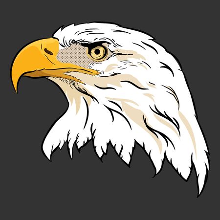 American bald eagle with flag,hand drawn eagle head vector.のイラスト素材