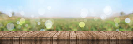 Empty wood table top and blurred view from green tree garden bokeh background.の写真素材