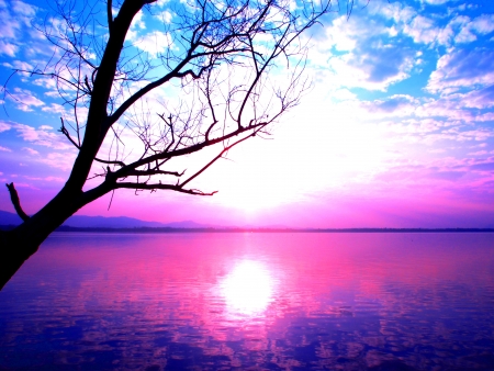 Pink burningの写真素材