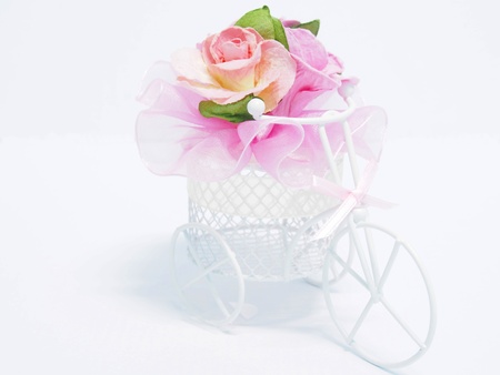 Valentine pink rose isolate on white backgroundの写真素材