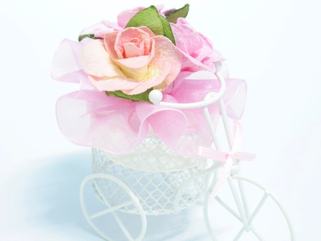Valentine pink rose isolate on white background の写真素材