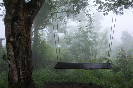 A swing on top of a misty mountain view at Phutok Viewpoint, Chiang Khan, Thailand   の写真素材