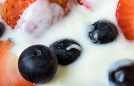 Closeup of blueberries and strawberries in plain yogurtの写真素材