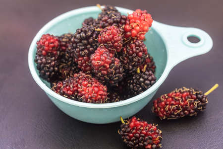 Fresh purple and red mulberries in a cupの写真素材