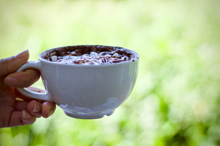 Cup of hot chocolate with marshmallow on green nature background.の写真素材
