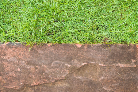 Green Grass and Orange,Brown laterite Brick Landscape - Nature ecology conceptの写真素材