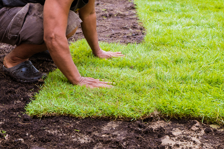 The Man Planting a Grass in the garden - Nature ecology conceptの写真素材