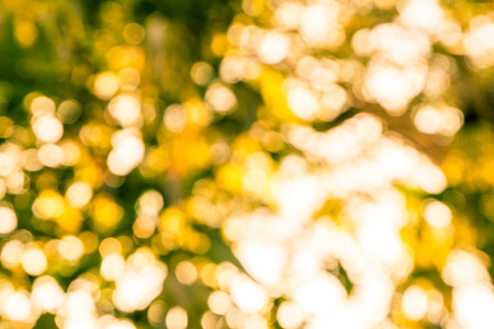 Abstract nature bokeh with light from sun in the forest at evening - blur for backgroundの写真素材