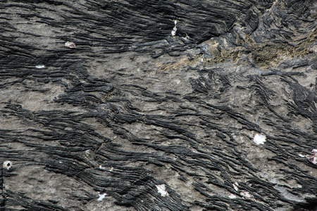 Rock surface along the beachの写真素材