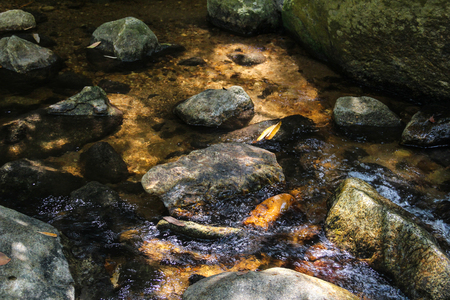 Stream of Nine Waterfall, Suan Phung, Ratchaburi, Thailand