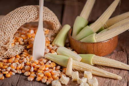 Seed Corn and baby corn on wooden table background.の写真素材