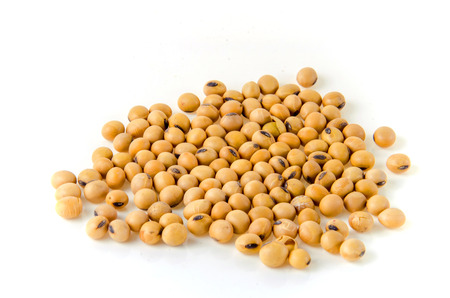 soy bean isolated on white background.の写真素材