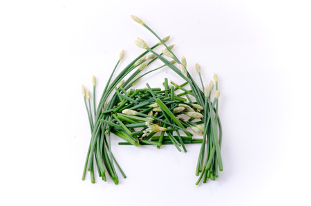 Onion flower isolated on a white background.