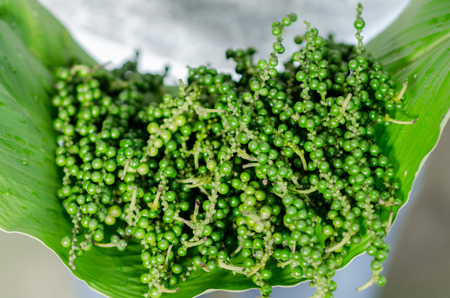 Close up A Fresh pepper.の写真素材