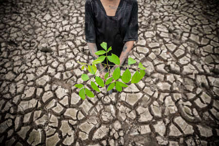 Hands holding young plant with dry cracked earth background. Shallow depth of field. Ecology concept.の写真素材