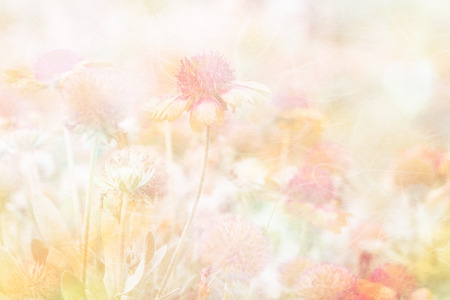 Soft and blurred flowers on mulberry paper texture styleの写真素材