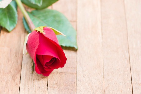red rose on wood backgroundの写真素材