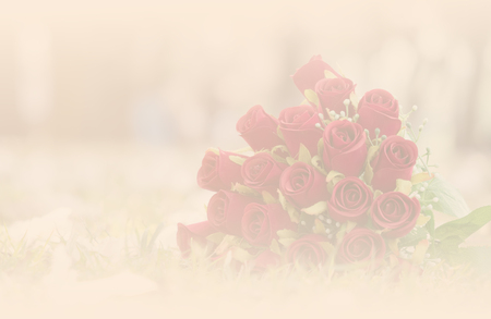 Soft image with rose flower for card backgroundの写真素材