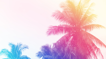 Palm tree or coconut tree at tropical coast made with vintage tones style background.の写真素材