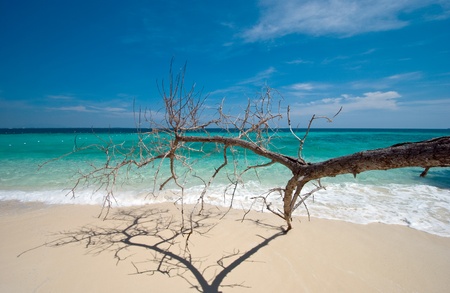 peaceful white sand  beach at Talu island,Thailandの写真素材