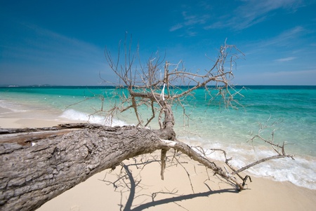 peaceful white sand  beach at Talu island,Thailandの写真素材