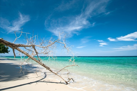 peaceful white sand  beach at Talu island,Thailandの写真素材