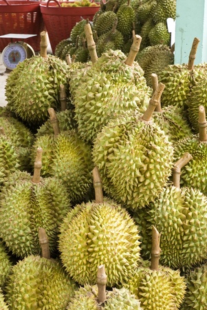 Durian,delicious tropical fruit in fruit stall, Thailandの写真素材