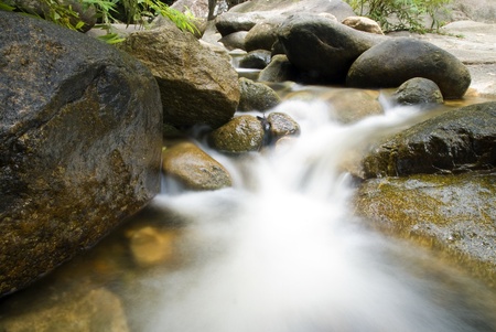 peaceful flowing stream in the forest
