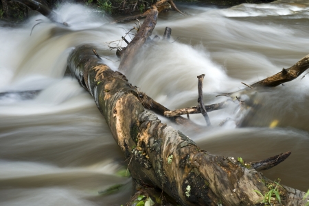 Flowing stream in the Phukradueng National Park, Thailandの写真素材