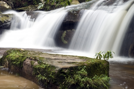 Flowing stream in the Phukradueng National Park, Thailandの写真素材