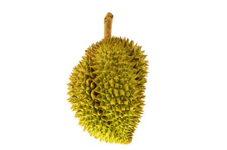 Durian fruit isolated on white backgroundの写真素材