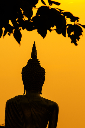 Silhouette of Buddha statue in Thailandの写真素材