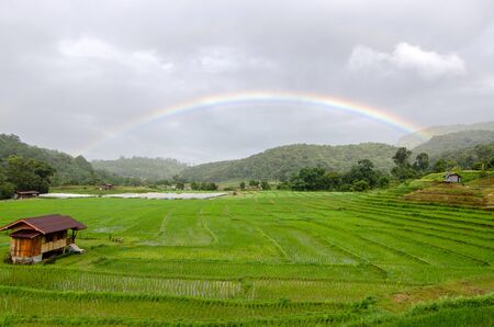 Amazing views of rainbow over rice paddy field in Mae Klang Luang Karen village in Chiangmai, Thailandの写真素材